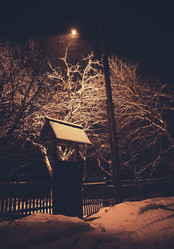 Similar image 1165719