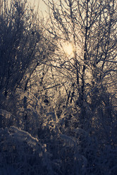 Similar image 1165744