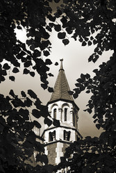 Similar image 1165771