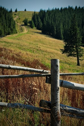 Similar image 1165772