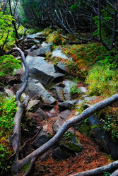 Similar image 1165774