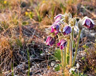 Similar image 1165868