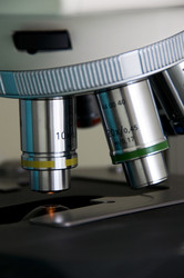 Similar image 1165870