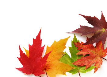 Similar image 1165878