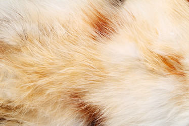 Similar image 1165919