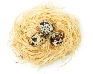 Similar image 1165956