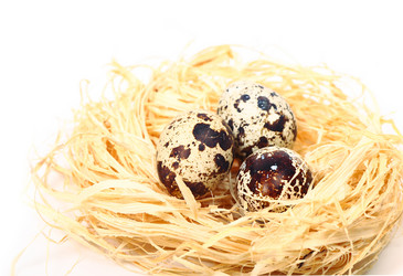 Similar image 1165961