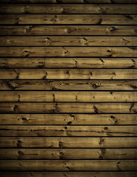 Similar image 1166000