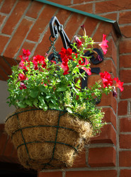 Similar image 1166231