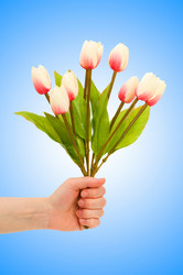 Similar image 1166410