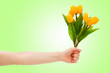 Similar image 1166411