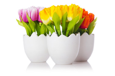 Similar image 1166436