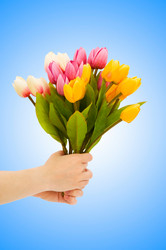 Similar image 1166449