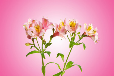 Similar image 1166608