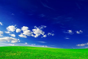 Similar image 1166908