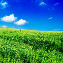 Similar image 1166913