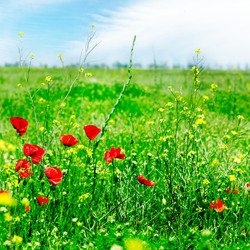 Similar image 1166914