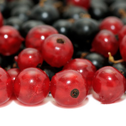 Similar image 1166917