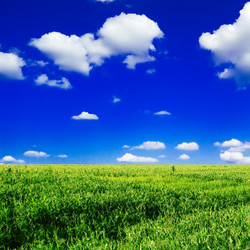 Similar image 1166918