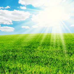 Similar image 1166930