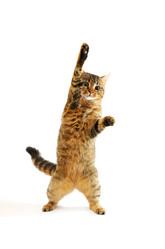 Similar image 1166944