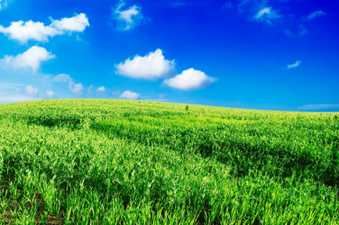 Similar image 1166955