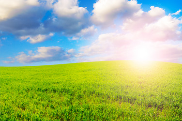 Similar image 1166956