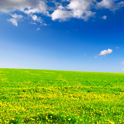 Similar image 1166961