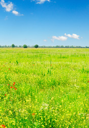 Similar image 1166964