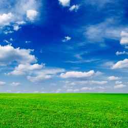 Similar image 1166965