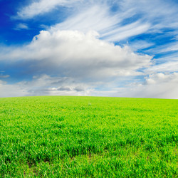 Similar image 1166977