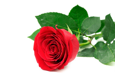 Similar image 1166982