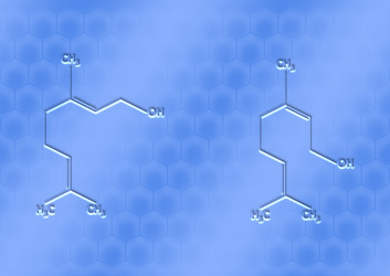 Similar image 1167045