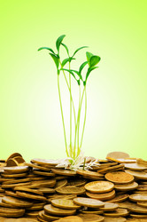 Similar image 1167113