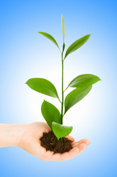 Similar image 1167141