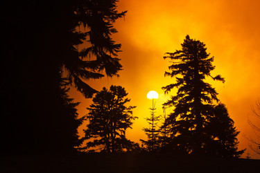 Similar image 1167295