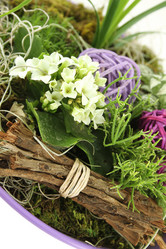 Similar image 1167308