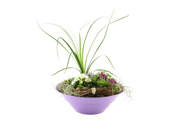 Similar image 1167309