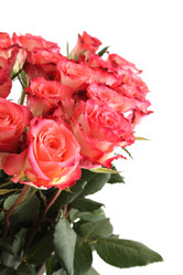 Similar image 1167318