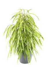 Similar image 1167320