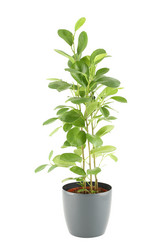 Similar image 1167321