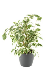 Similar image 1167322