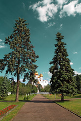 Similar image 1167384