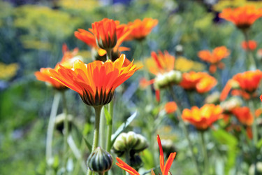 Similar image 1167388