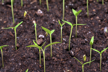 Similar image 1167402