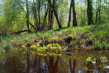 Similar image 1167446