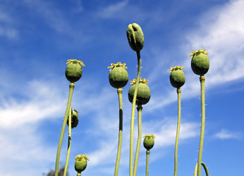 Similar image 1167450