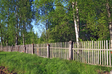 Similar image 1167463