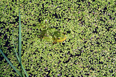 Similar image 1167465