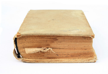 Similar image 1167474